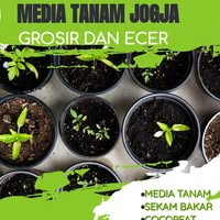 Media tanam jogja