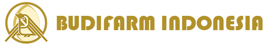 Budifarm Indonesia