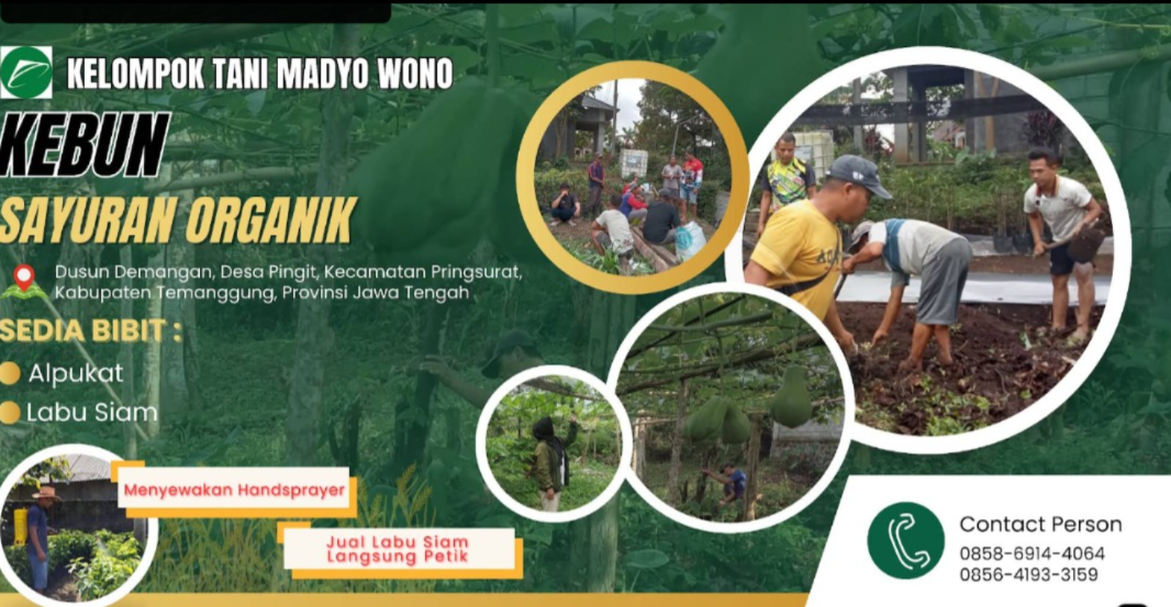 Madyo Wono