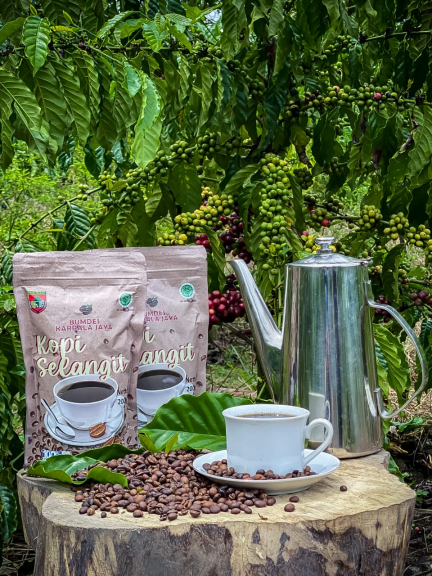 Kopi Selangit 