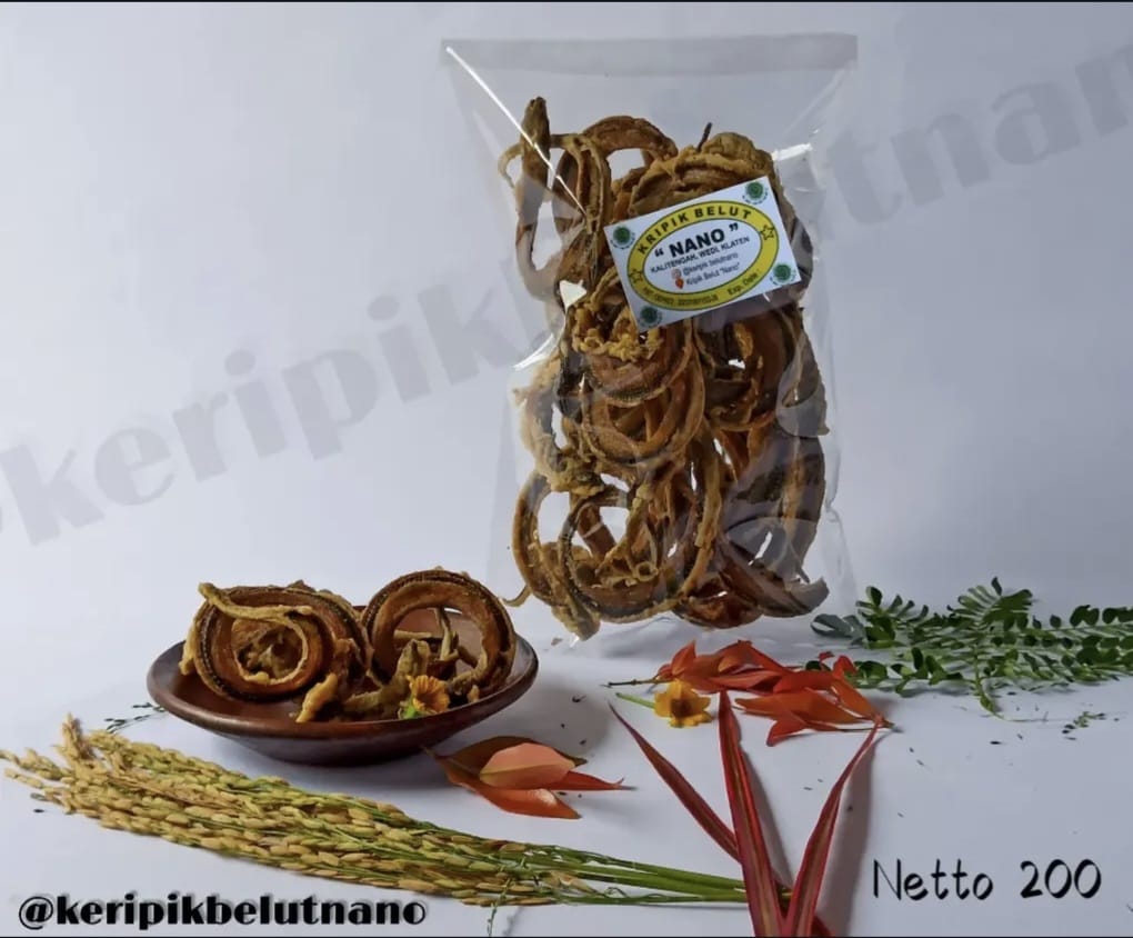 Kripik Belut NANO