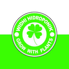 Widhi Flora Balli (Hidroponik) 