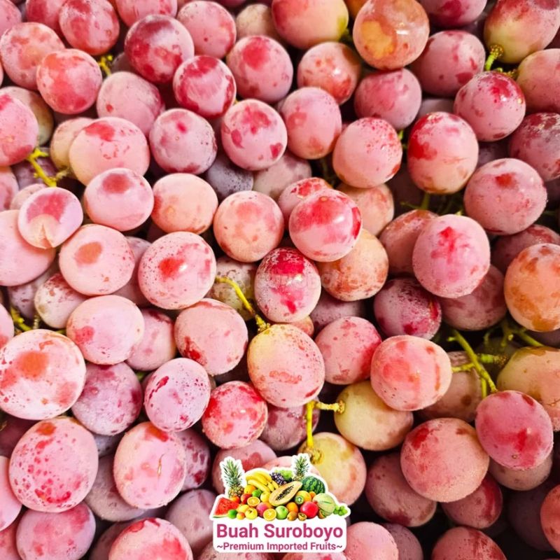 Anggur Merah Australia 1kg