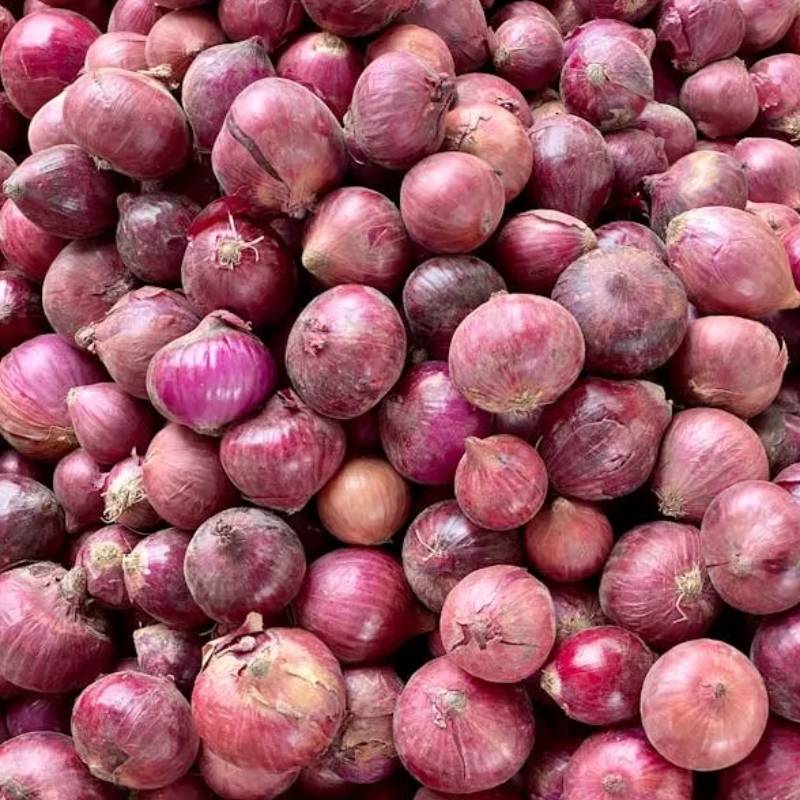 Bawang Merah Organik