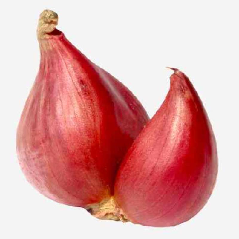 Bawang Merah