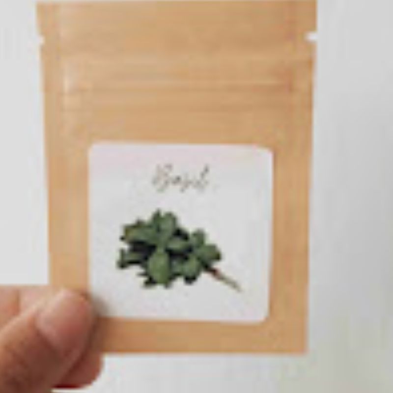 benih basil