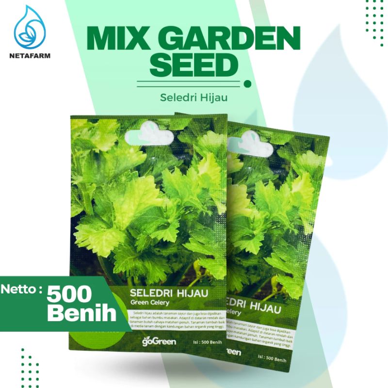 Benih Biji Bibit Seledri Hijau Green Celery Mix Garden Seed - 1 Pcs