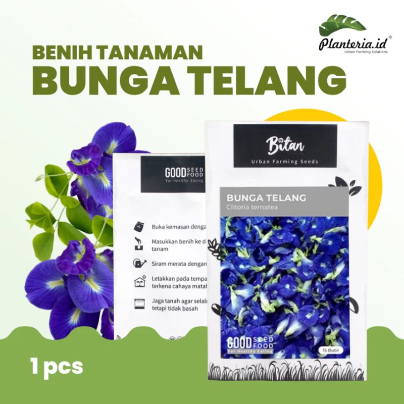 Benih Bunga Telang Biru Biji Bunga Telang