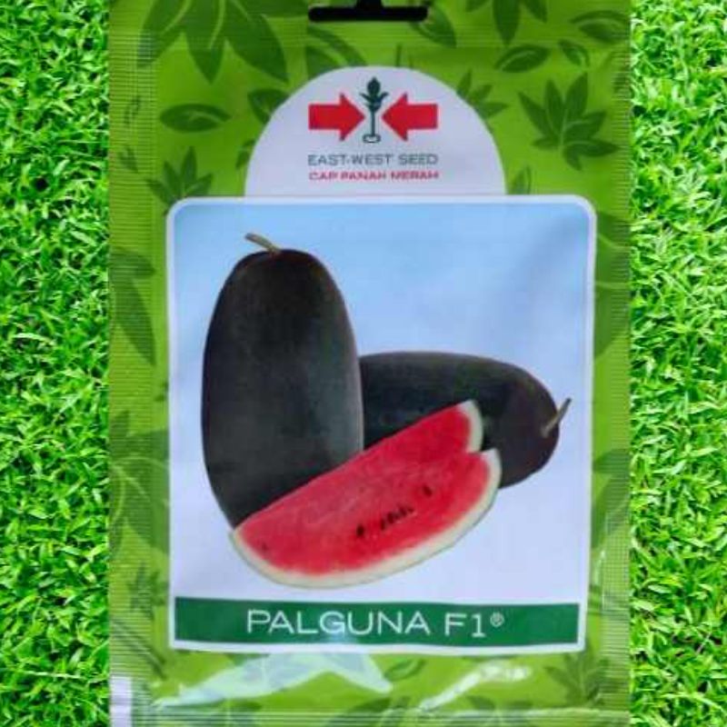 Bibit Semangka Palguna Panah Merah 40 biji