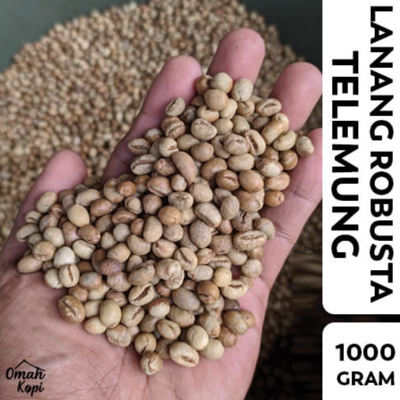 Biji Kopi Lanang Robusta Telemung Green Bean 1kg