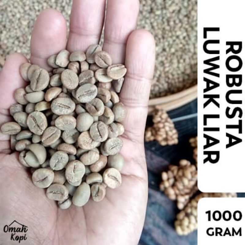 Biji Kopi Luwak Liar Robusta Green Bean 1kg