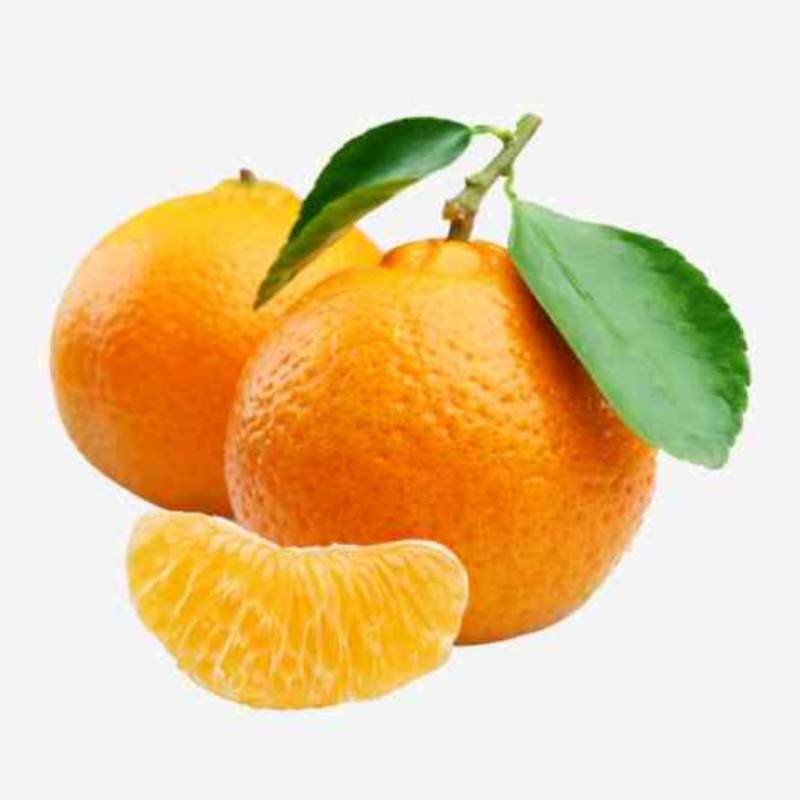 Buah Jeruk Segar