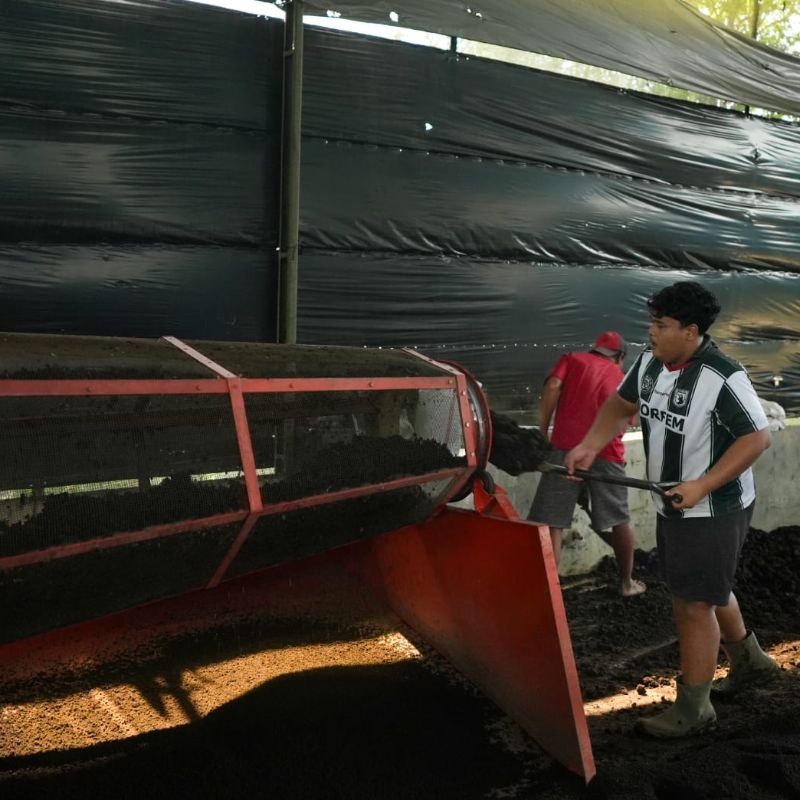  vermikompos