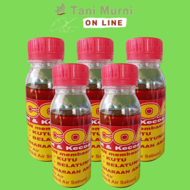 LATCOA Racun Lalat, Kutu, Belatung, dan Kecoa