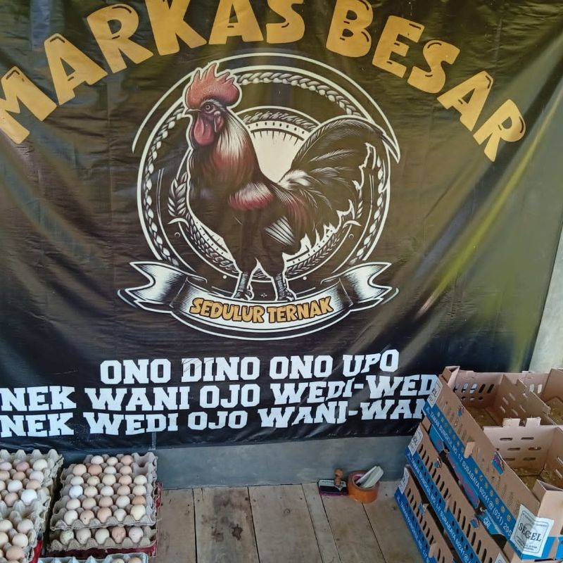 Ayam KST ( Kampung Sedulur Ternak )