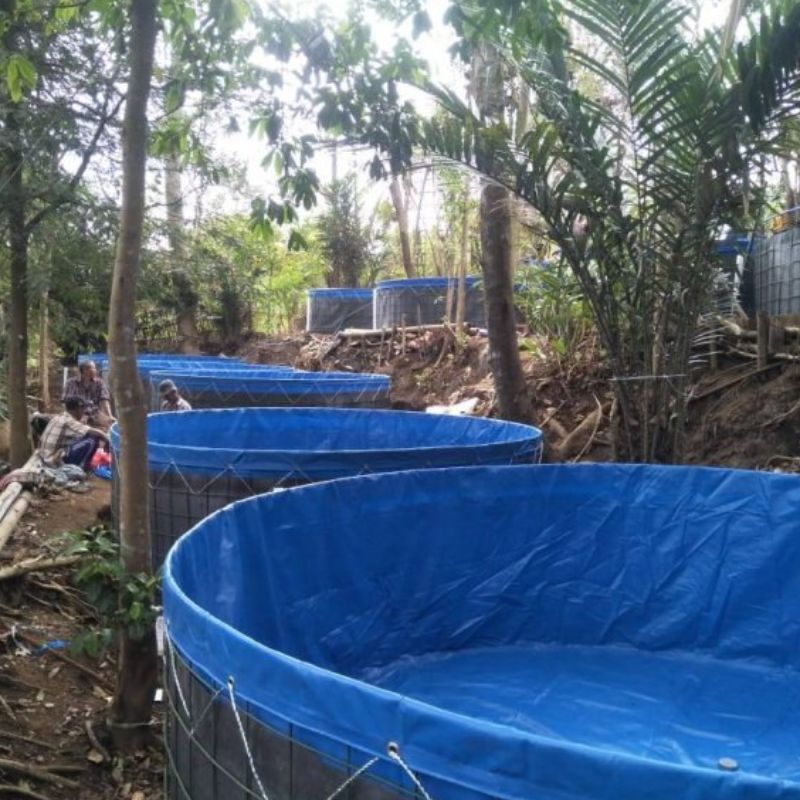 Jasa dan Penjualan Terpal Kolam Ikan
