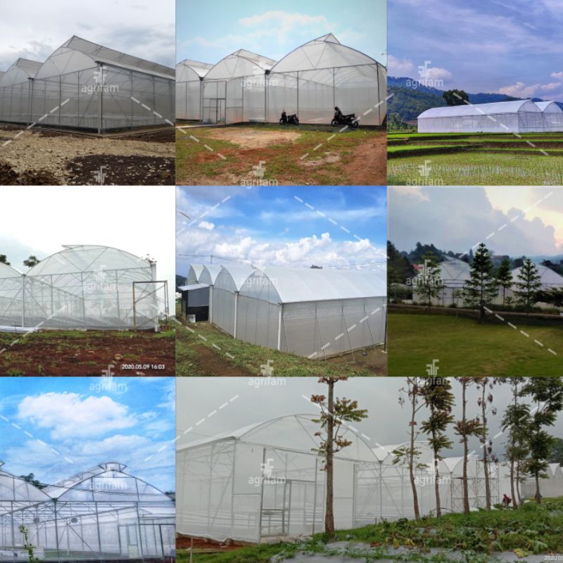 Jasa Pembuatan Greenhouse Basic