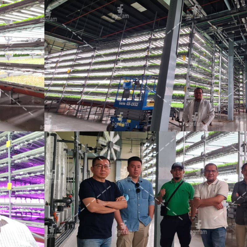 Jasa Pembuatan Indoor Vertical Farming