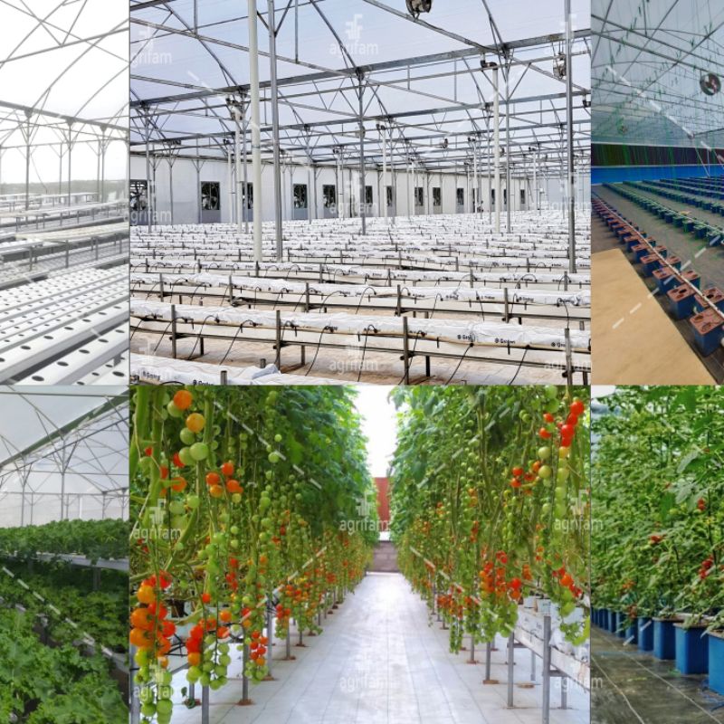 Jasa Pembuatan System Hydroponics
