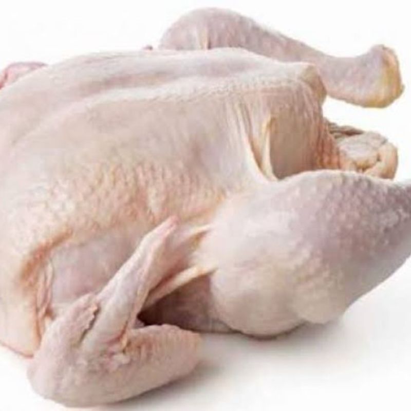 Jual Ayam Potong Segar