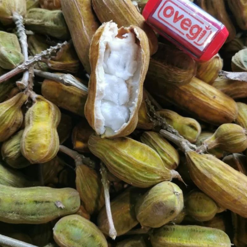 Kacang Es Krim / Buah Salju