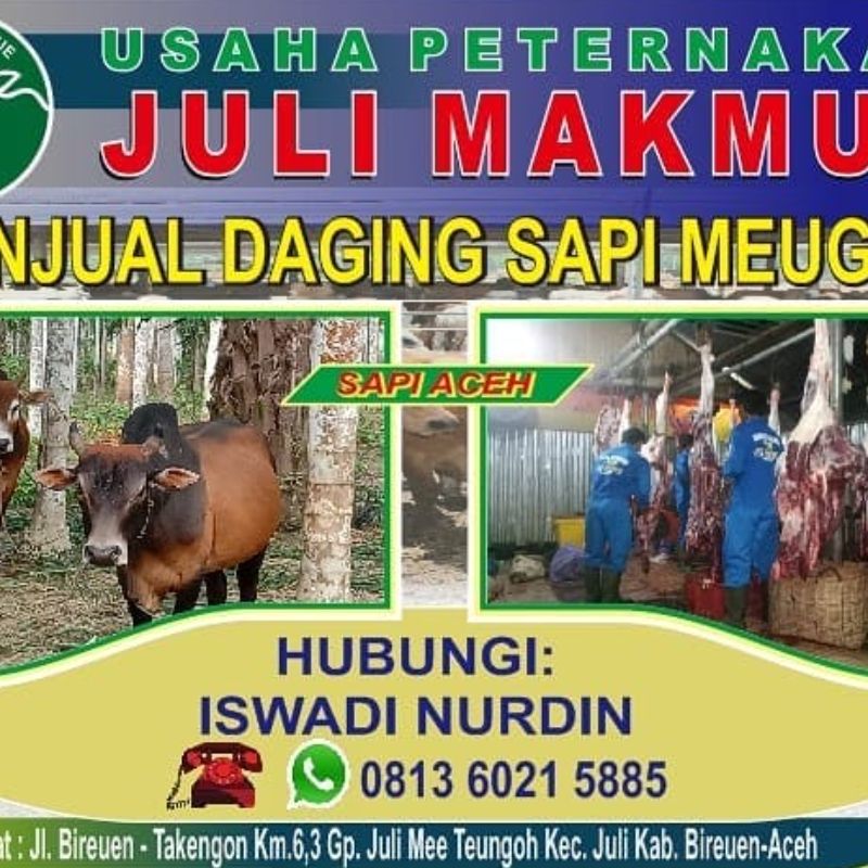 Penjualan Sapi bakalan, Sapi Qurban dan Penjualan Daging Eceran dan Grosir