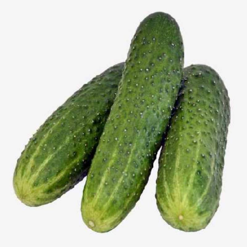 Sayur Timun segar!