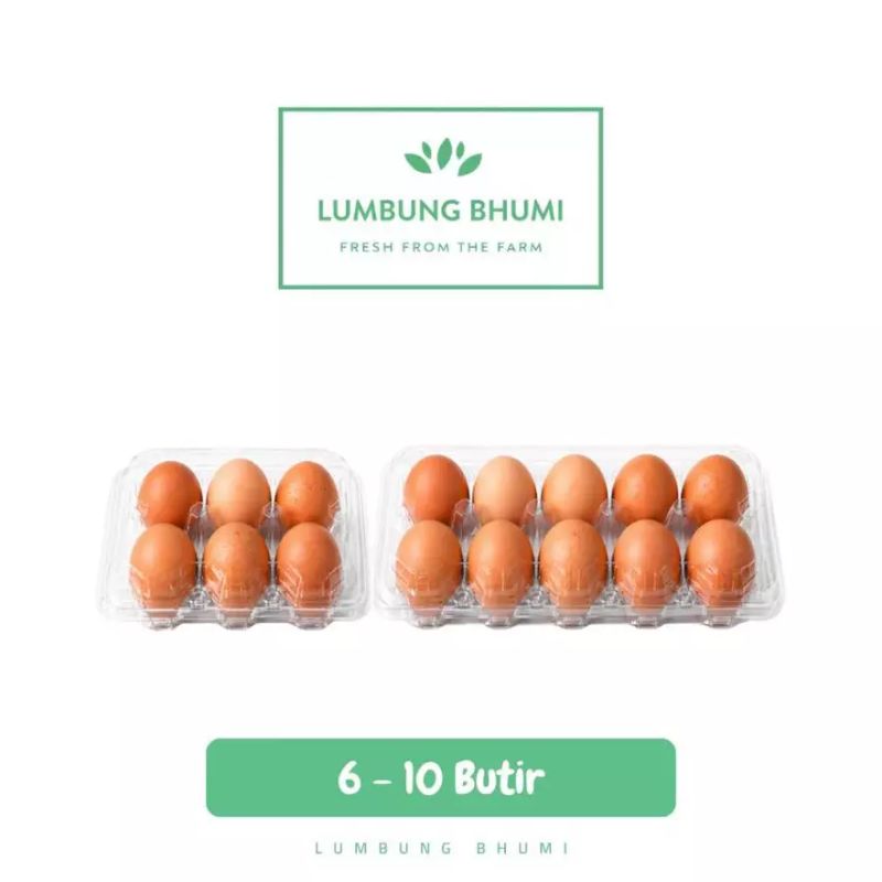 Telur Ayam Negeri Pack Lumbung Bhumi - Halal, Fresh, Omega