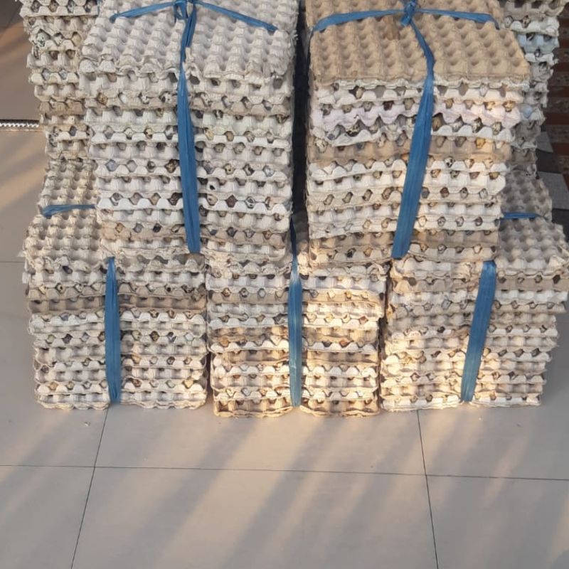 Telur Ayam NEGERI