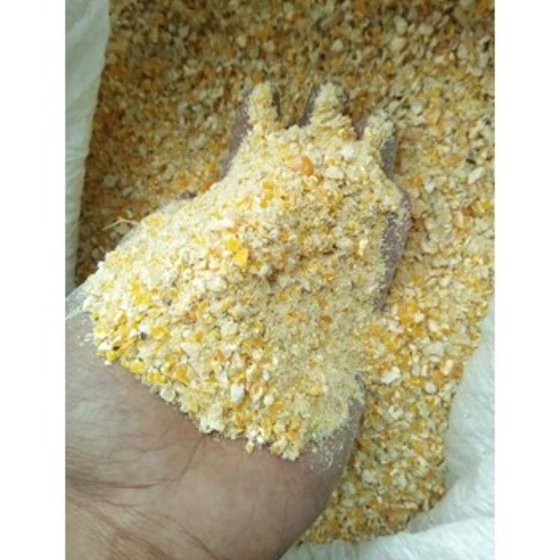 Tepung Jagung untuk Pakan Ternak