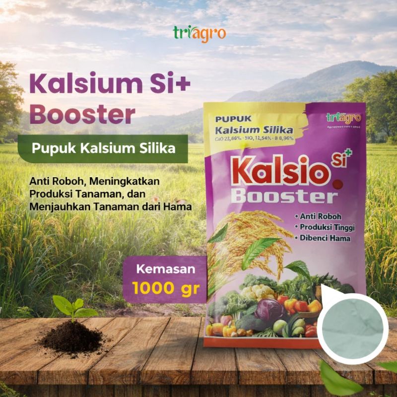 TRIAGRO Kalsio Si Booster 1Kg – Pupuk Kalsium Silika Boron Penguat Batang & Buah Anti Roboh