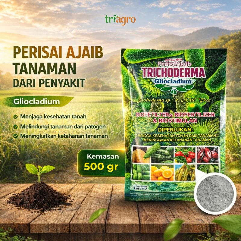 TRIAGRO – Trichoderma Gliocladium 500 gram Perisai Ajaib Biofungisida Organik Anti Busuk Akar & Anti Layu Fusarium Probiotik